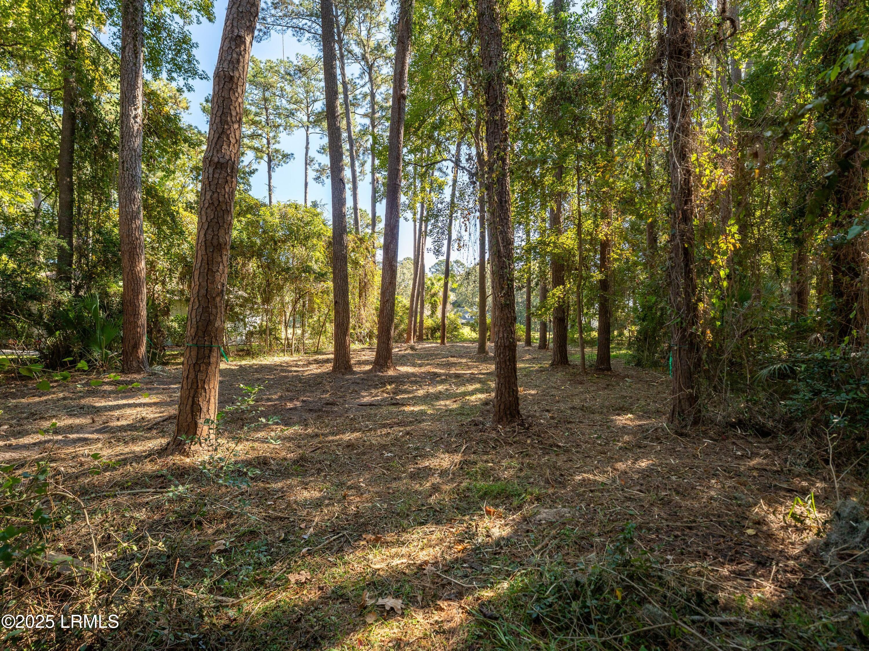 51 Winding Oak Drive