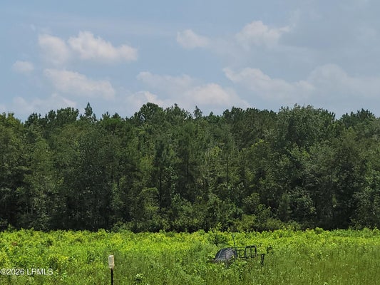 TOOMERVILLE LOOP, HARDEEVILLE, SC 29927 - Image 7fc634d5e4e3913a033a4471d4496937/3077246418
