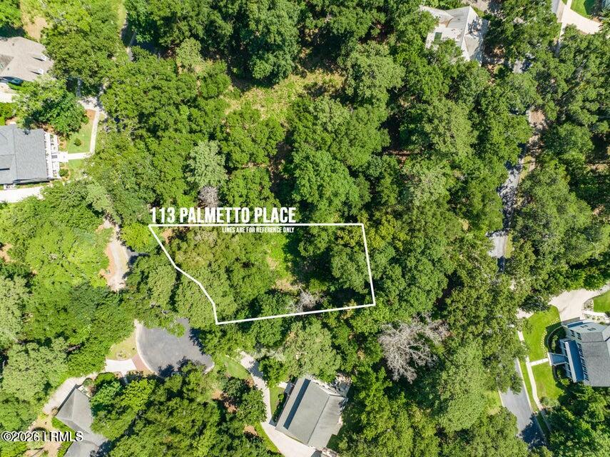 113 Palmetto Place