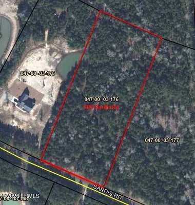 TBD SARDIS ROAD, RIDGELAND, SC 29936 - Image 80ae4c0fea1f3cff29ba8afbb33424e7/2717969909