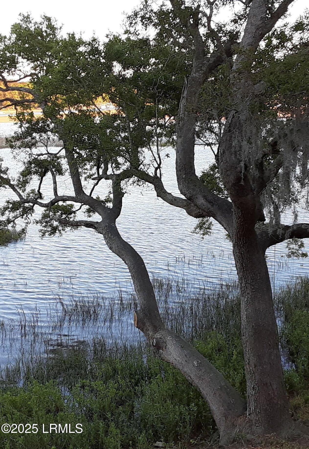 St. Helena Island, South Carolina 29920, United States, 3 Bedrooms Bedrooms, ,2 BathroomsBathrooms,Residential,Active,123927