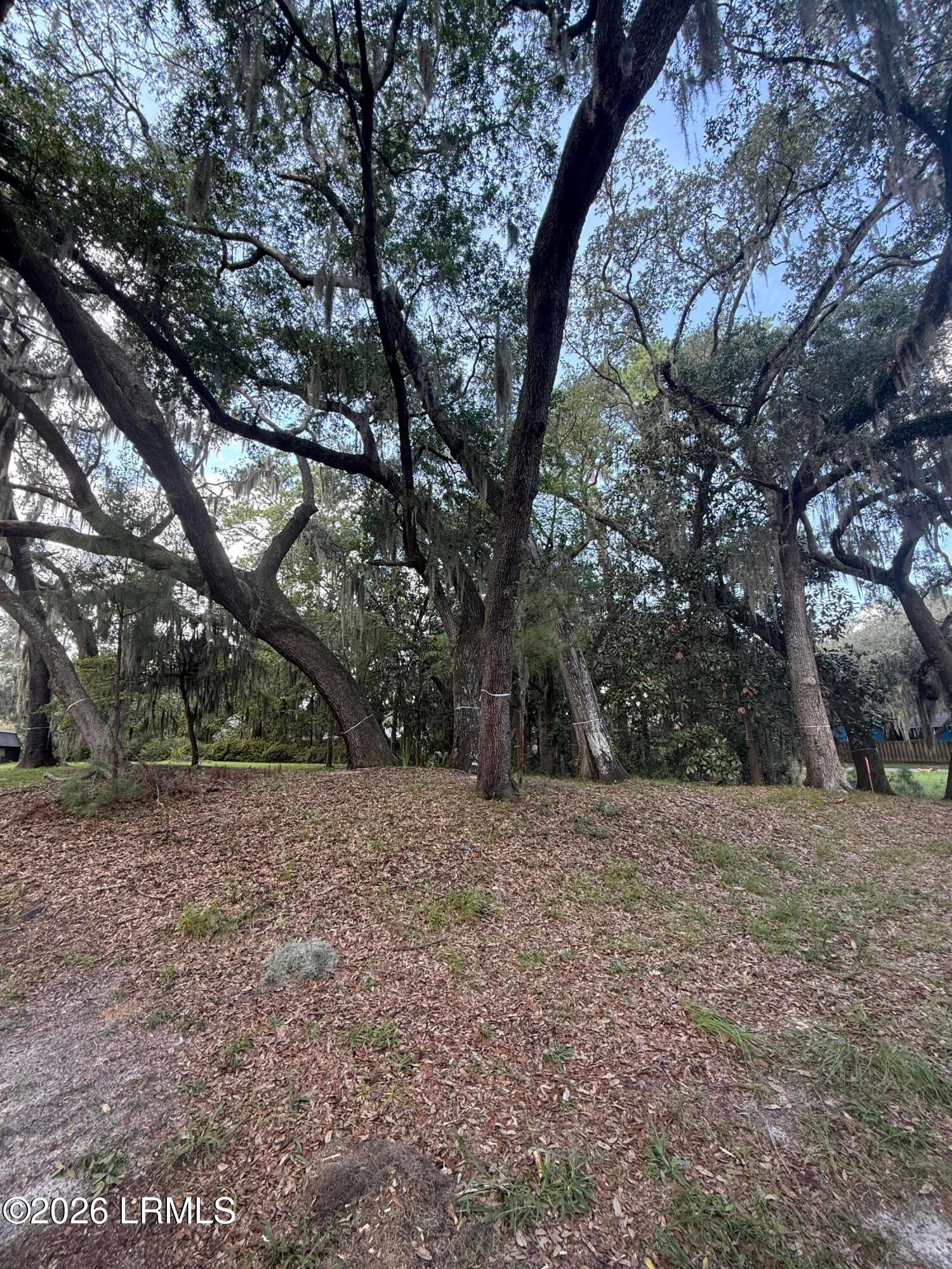 616 Huguenin Drive