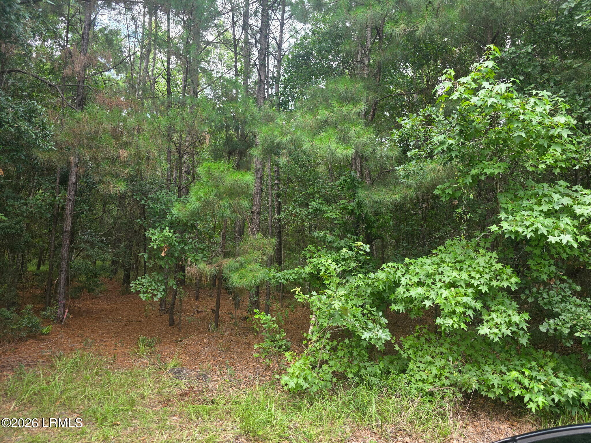1611 S Okatie Highway