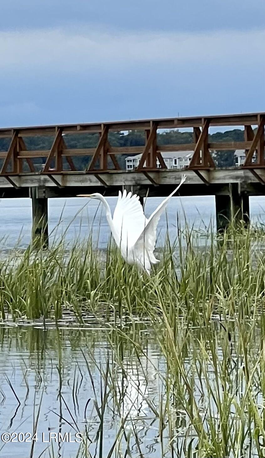Beaufort, South Carolina 29902, United States, ,Land,Active,42664