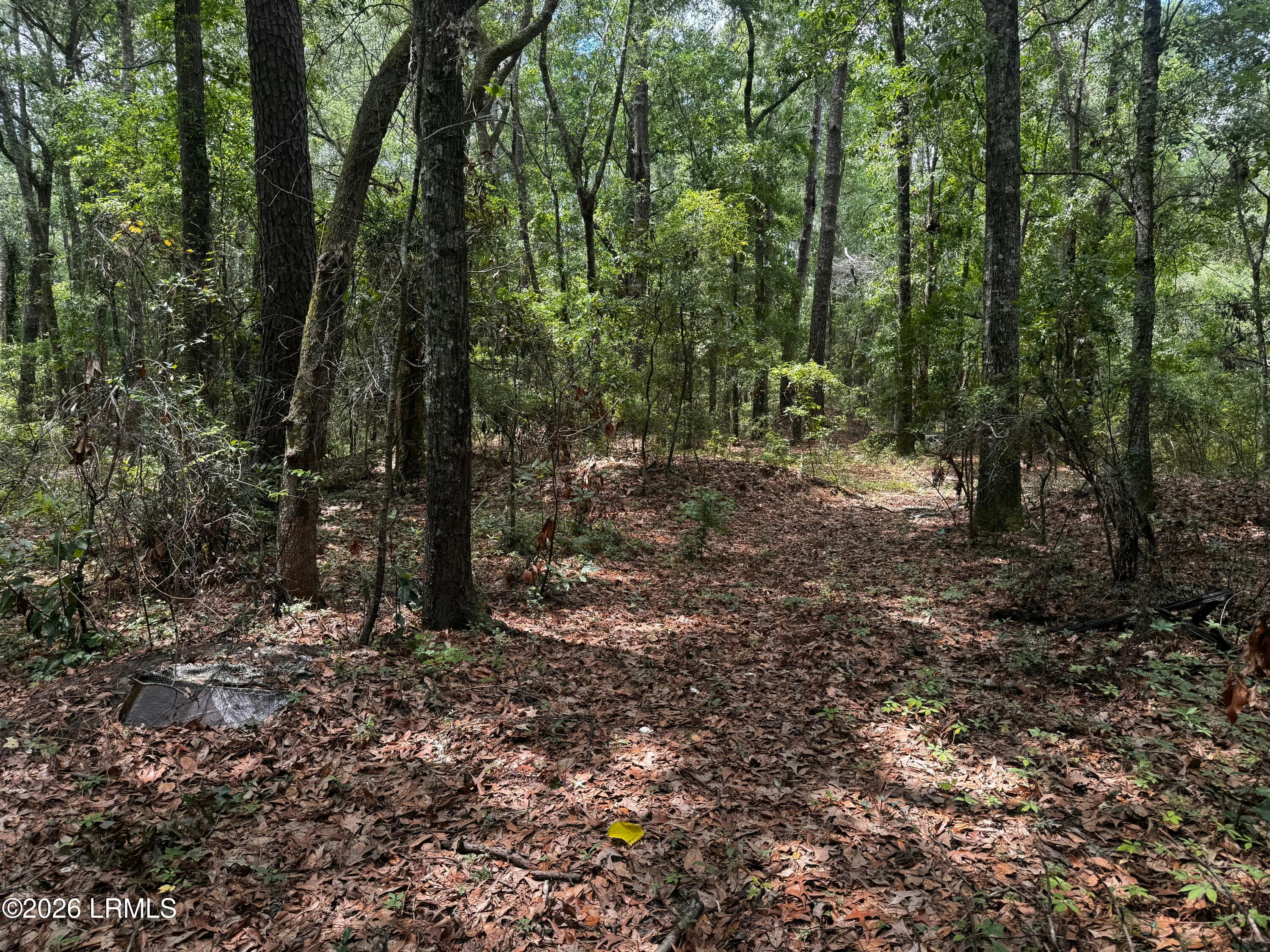 43 Pine Grove Road