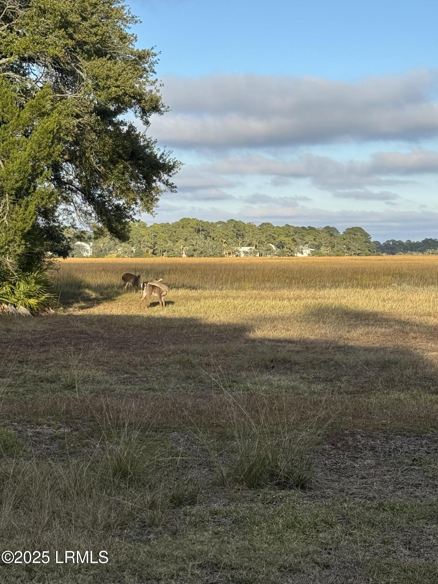 Fripp Island, South Carolina 29920, United States, ,Land,Active,256668