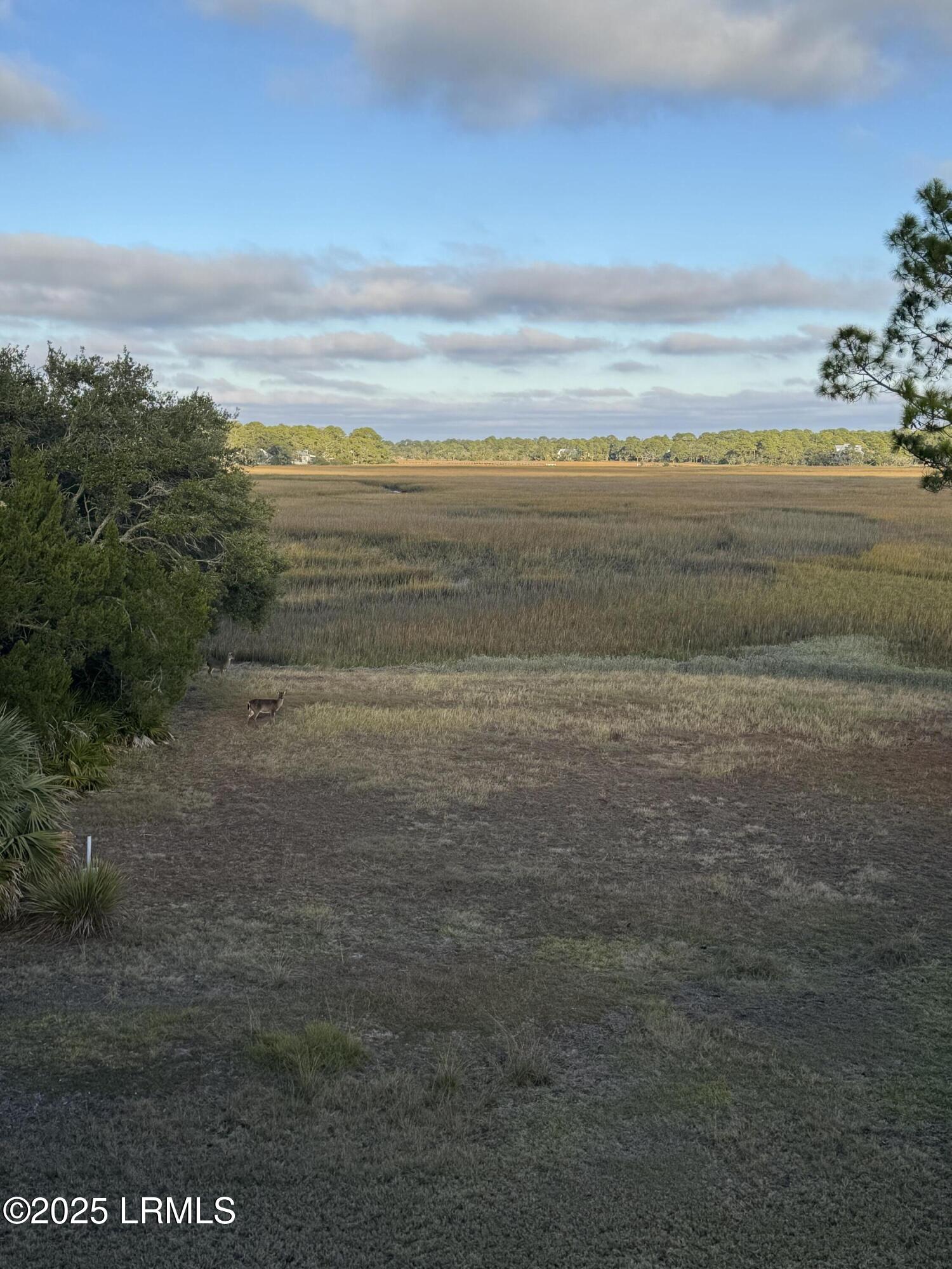 Fripp Island, South Carolina 29920, United States, ,Land,Active,256668