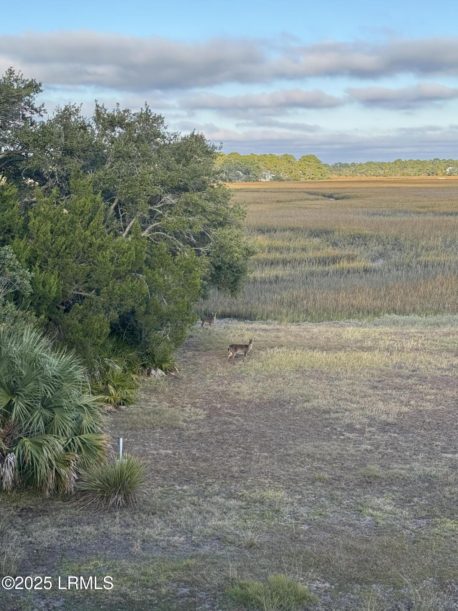 Fripp Island, South Carolina 29920, United States, ,Land,Active,256668