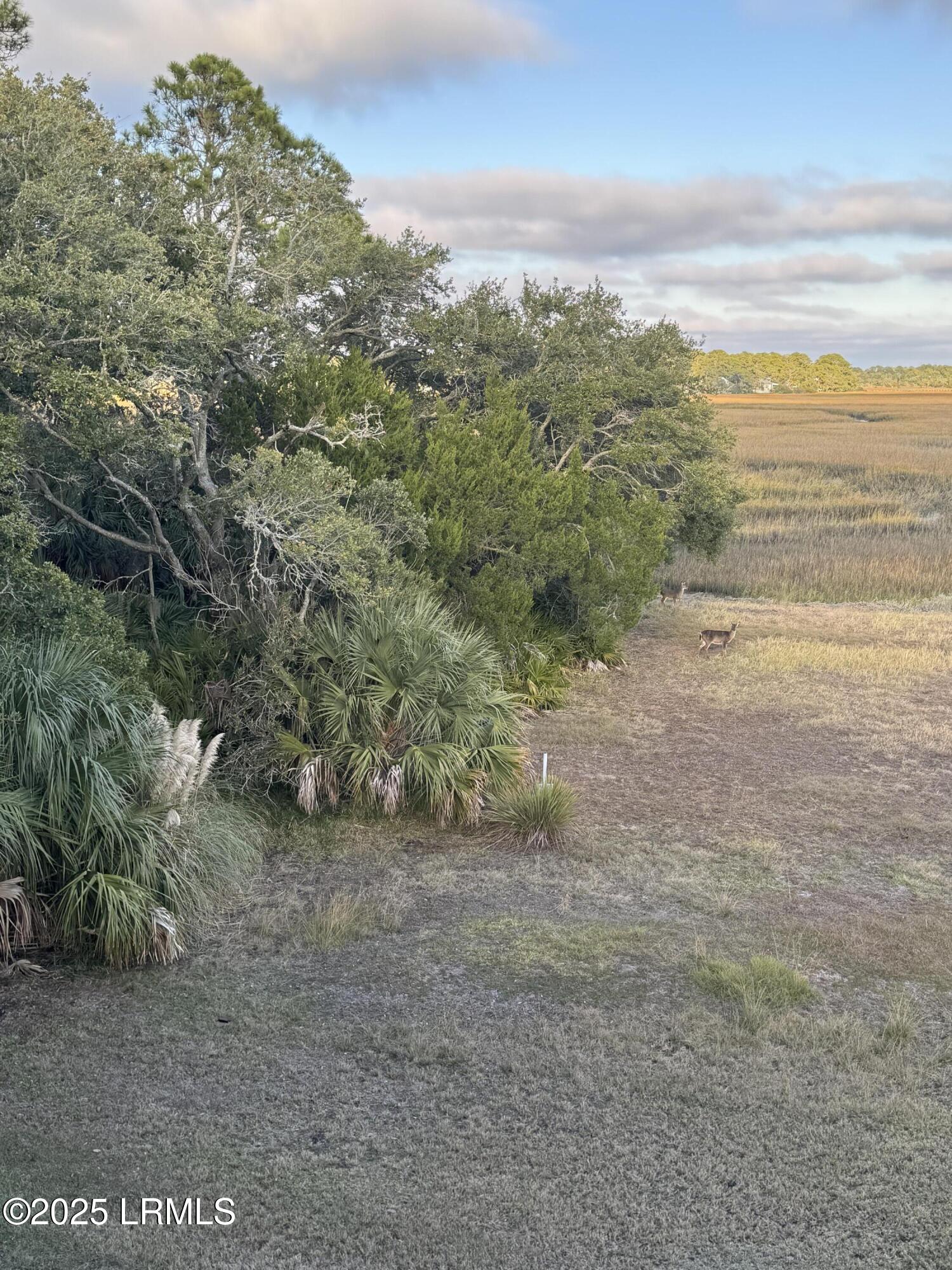 Fripp Island, South Carolina 29920, United States, ,Land,Active,256668