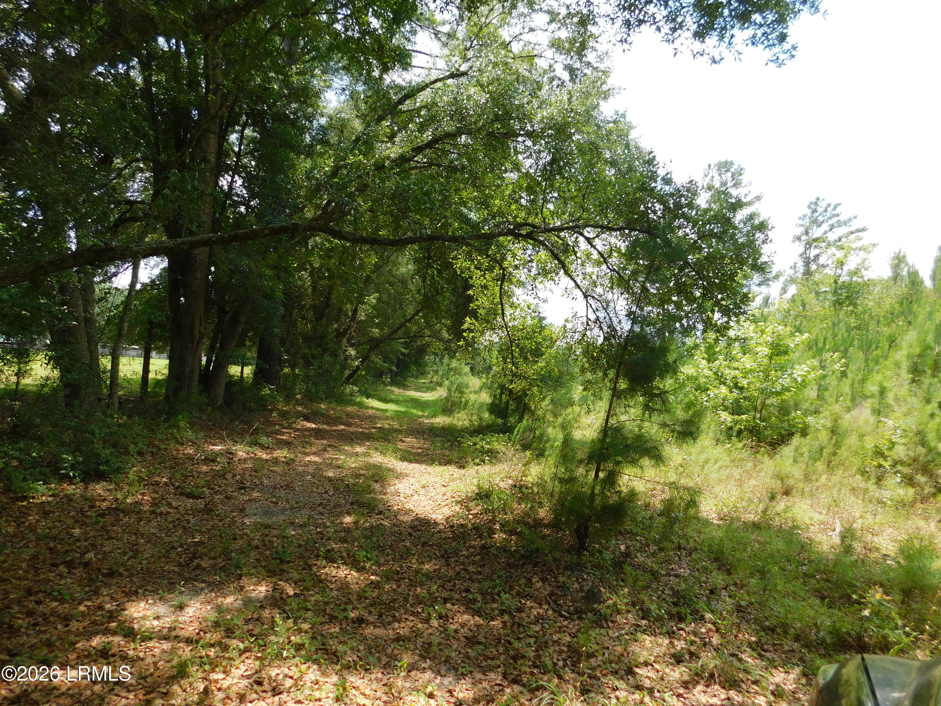 Tbd Gillison Branch Road