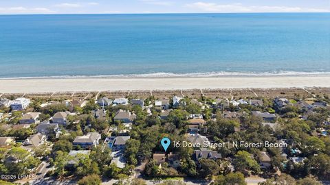 16 Dove Street Hilton Head Island SC 29928