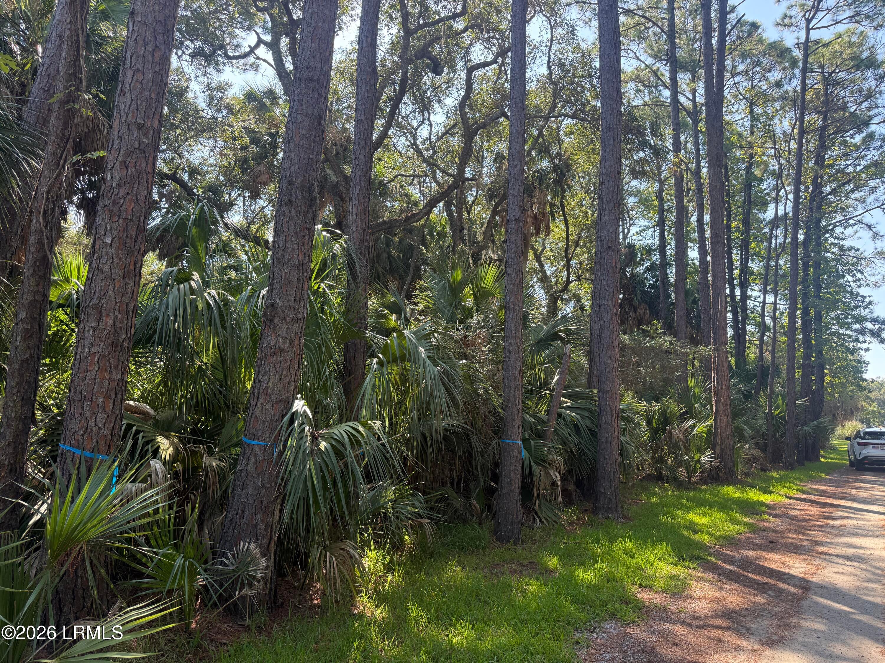 706 Seahorse Road