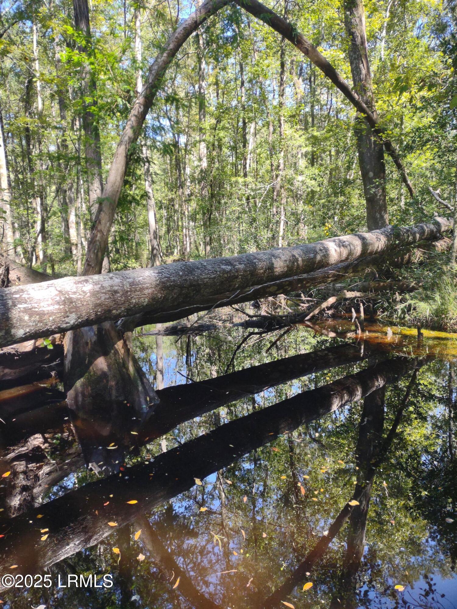 Walterboro, South Carolina 29488, United States, ,Land,Active,134430