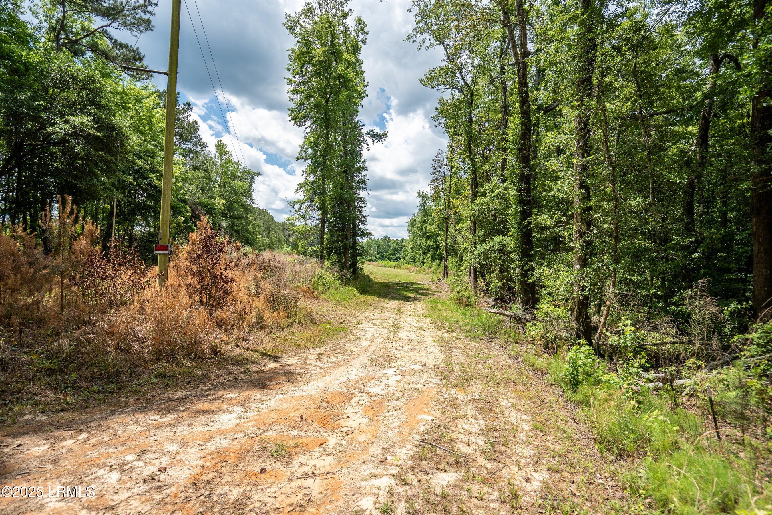 Walterboro, South Carolina 29488, United States, ,Land,Active,134430