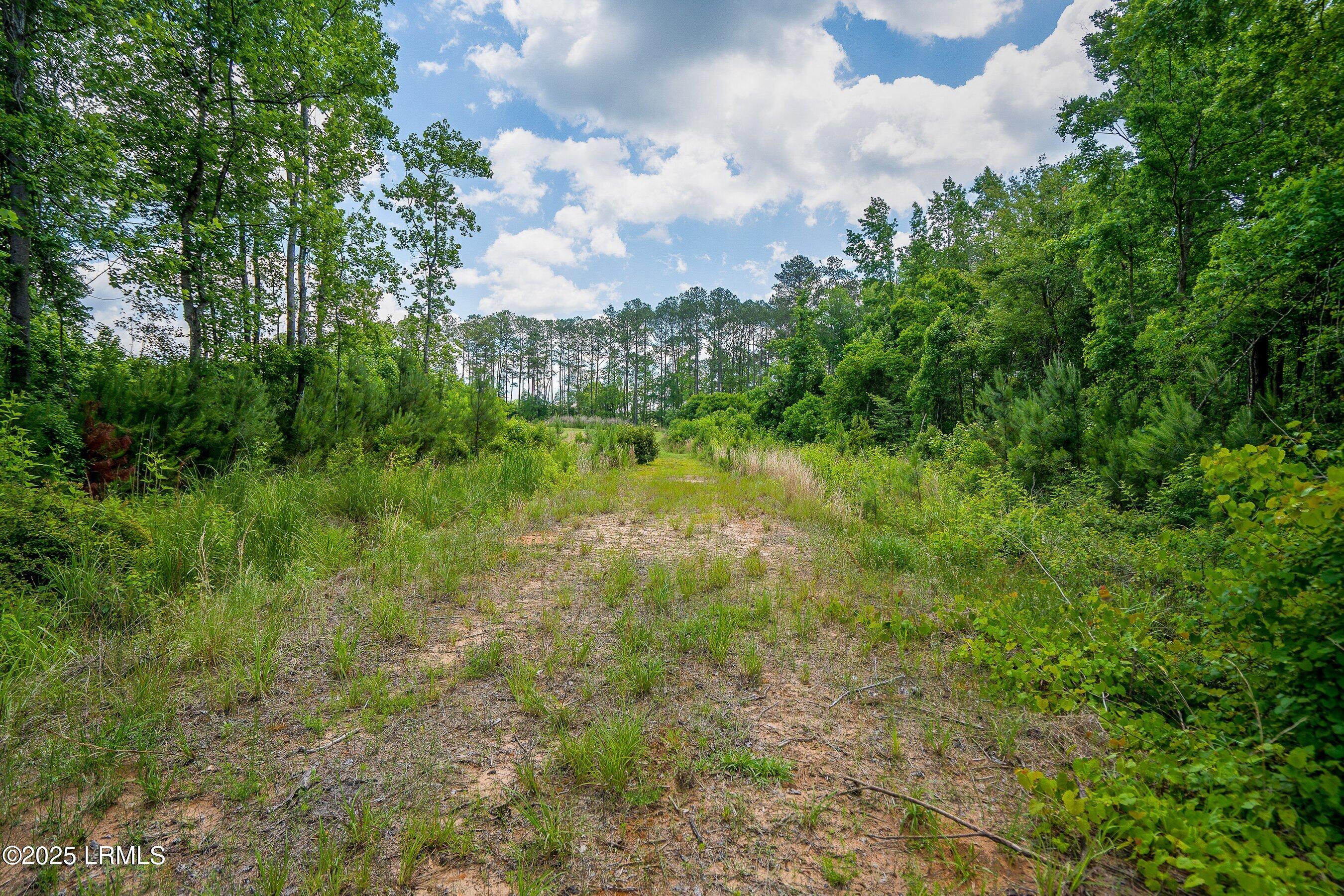 Walterboro, South Carolina 29488, United States, ,Land,Active,134430