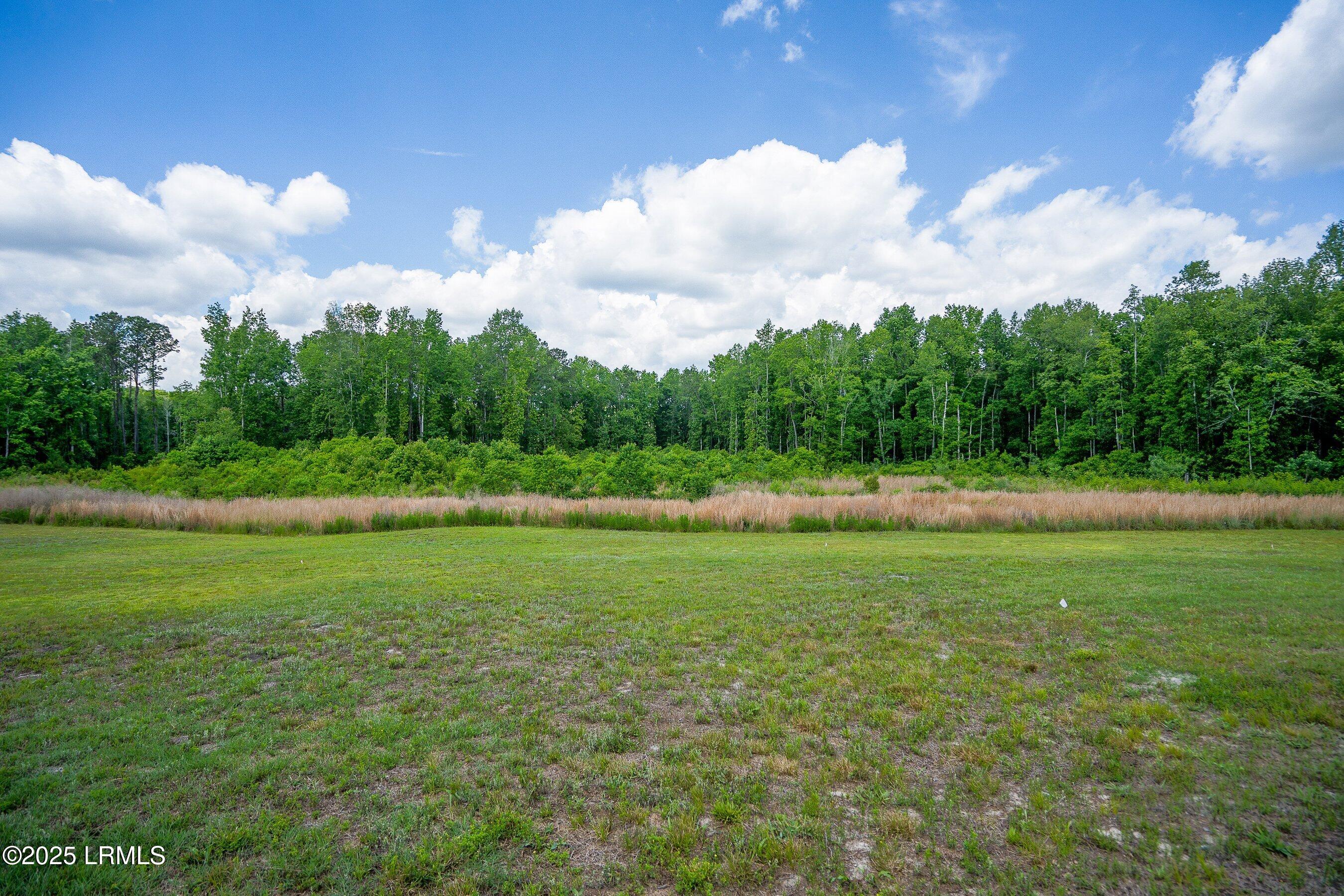 Walterboro, South Carolina 29488, United States, ,Land,Active,134430