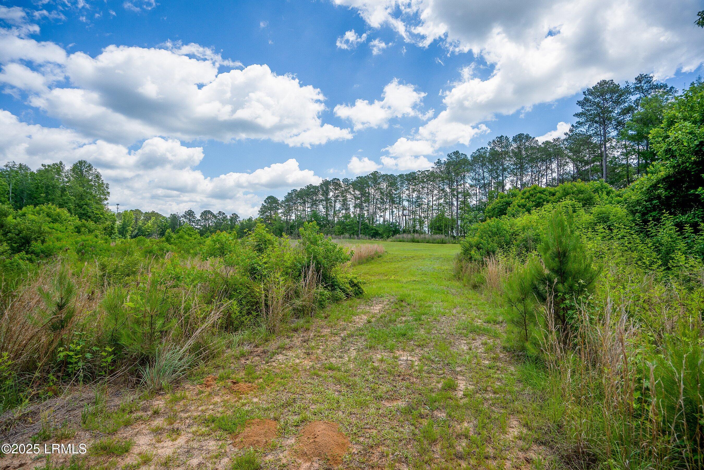 Walterboro, South Carolina 29488, United States, ,Land,Active,134430