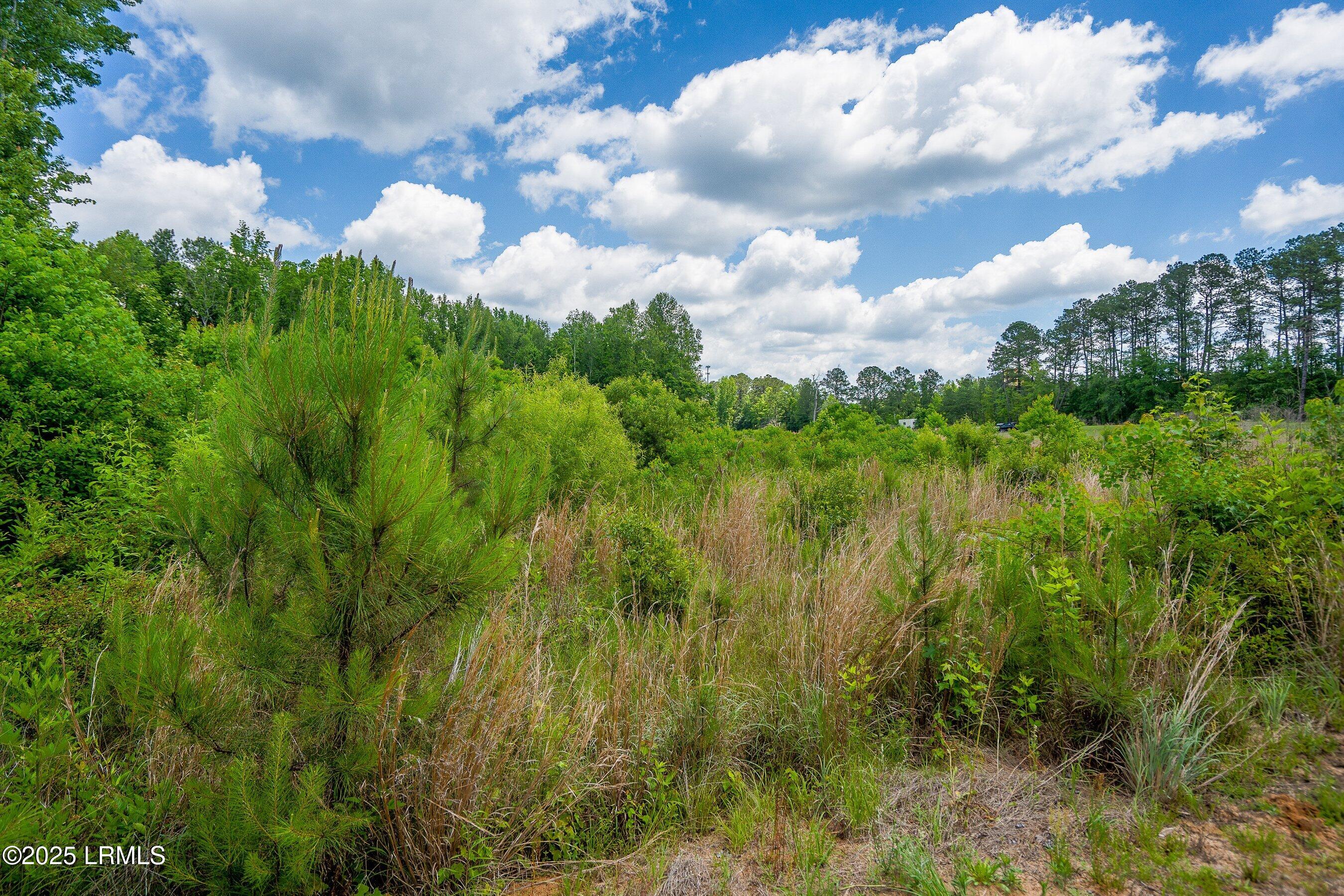 Walterboro, South Carolina 29488, United States, ,Land,Active,134430