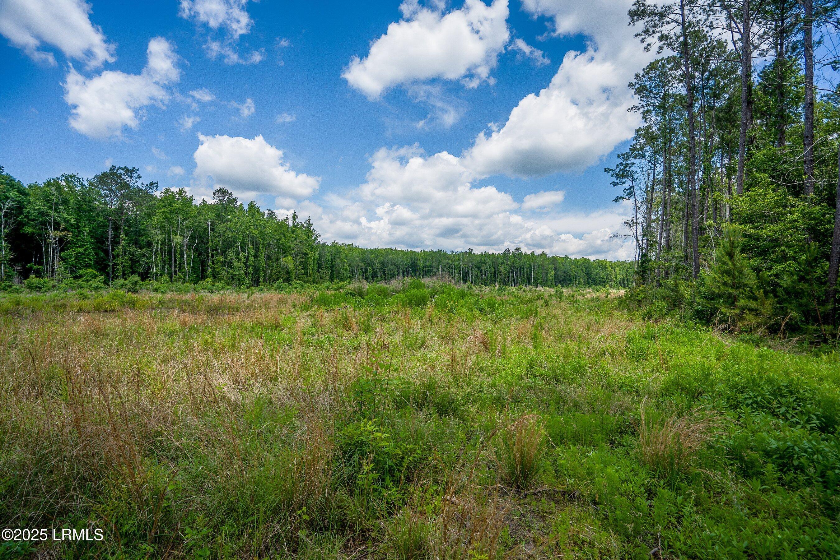 Walterboro, South Carolina 29488, United States, ,Land,Active,134430