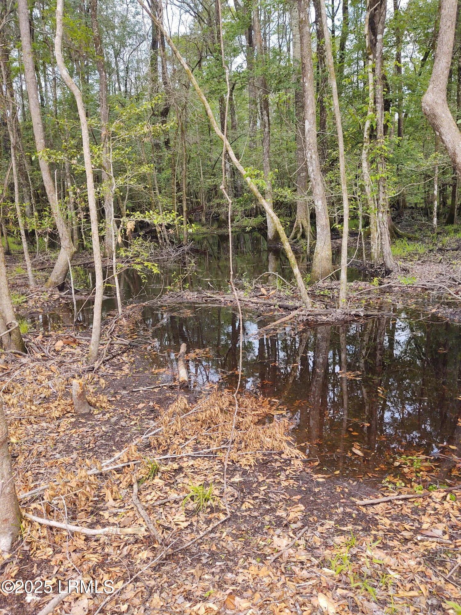 Walterboro, South Carolina 29488, United States, ,Land,Active,134430