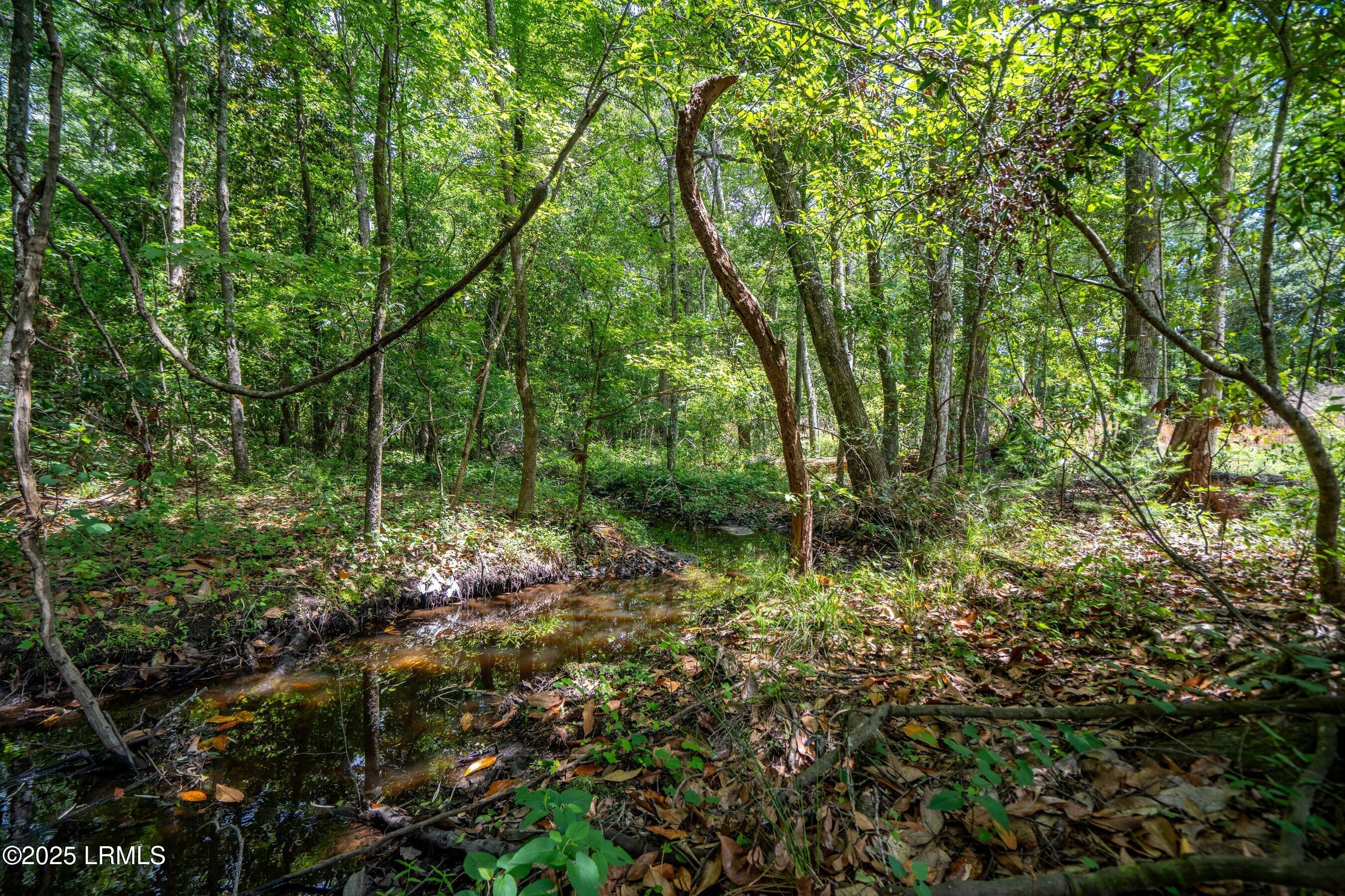 Walterboro, South Carolina 29488, United States, ,Land,Active,134430