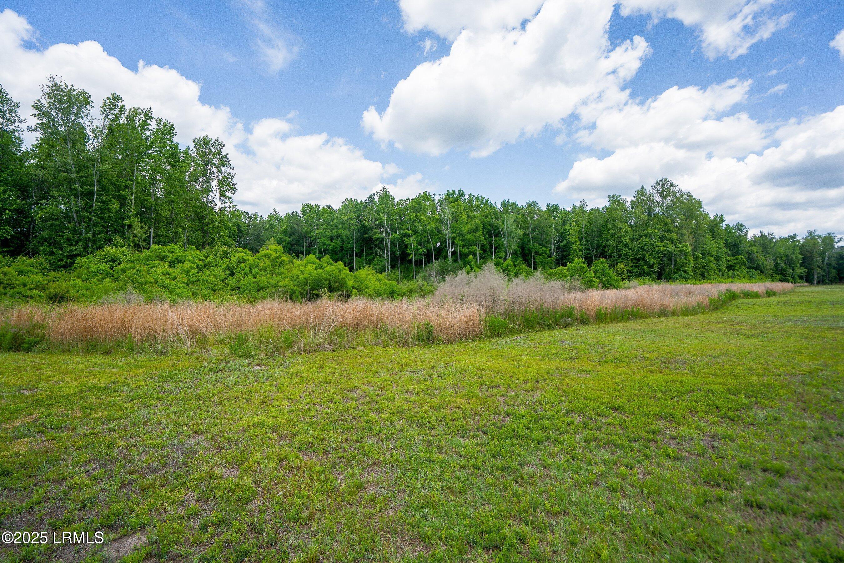 Walterboro, South Carolina 29488, United States, ,Land,Active,134430
