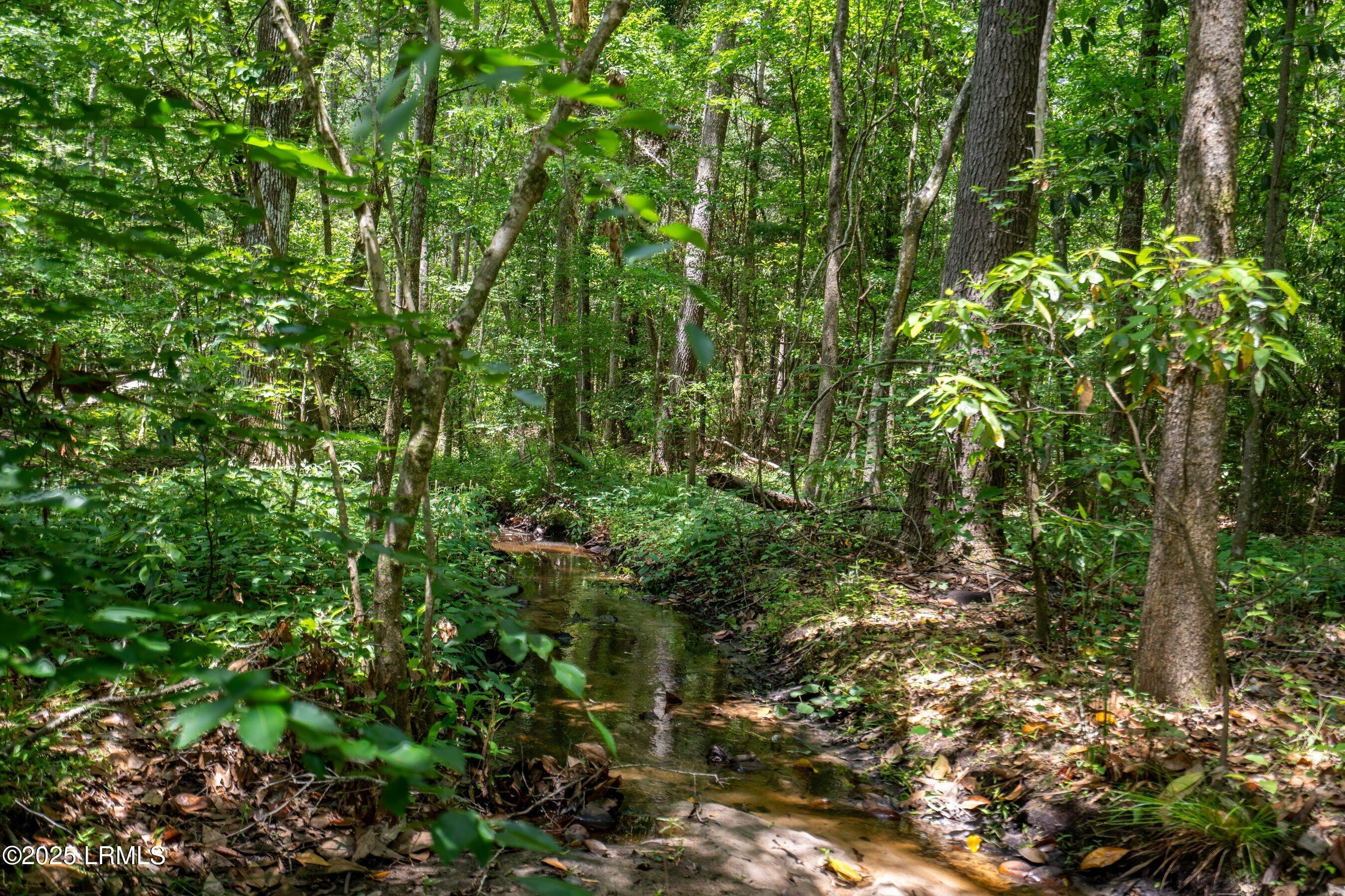 Walterboro, South Carolina 29488, United States, ,Land,Active,134430