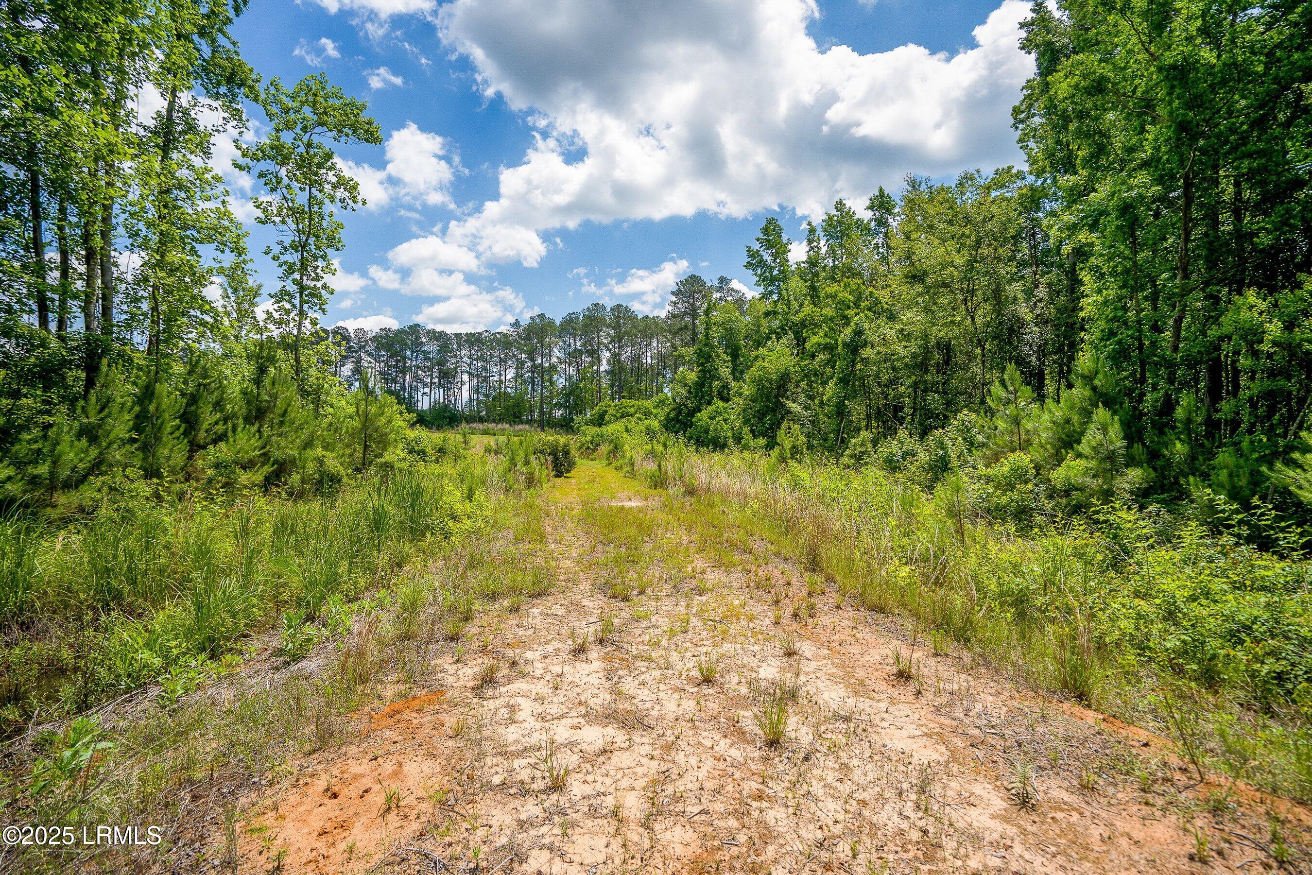 Walterboro, South Carolina 29488, United States, ,Land,Active,134430