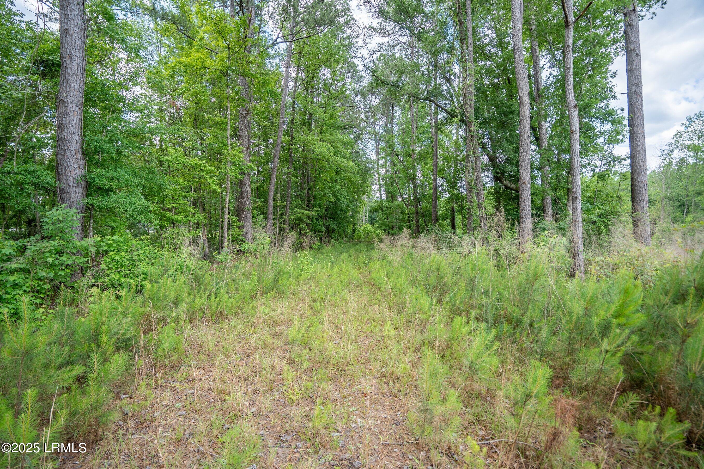 Walterboro, South Carolina 29488, United States, ,Land,Active,134430