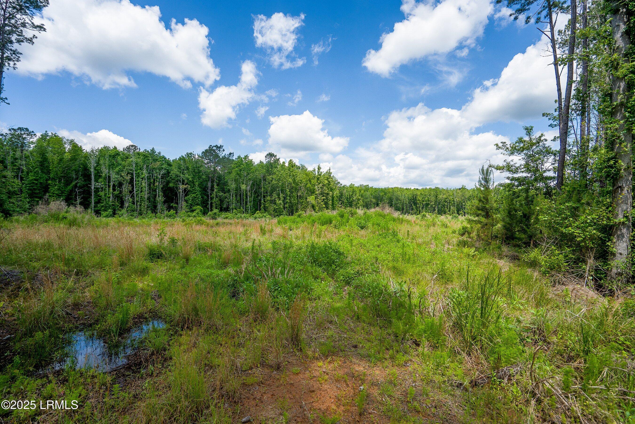 Walterboro, South Carolina 29488, United States, ,Land,Active,134430