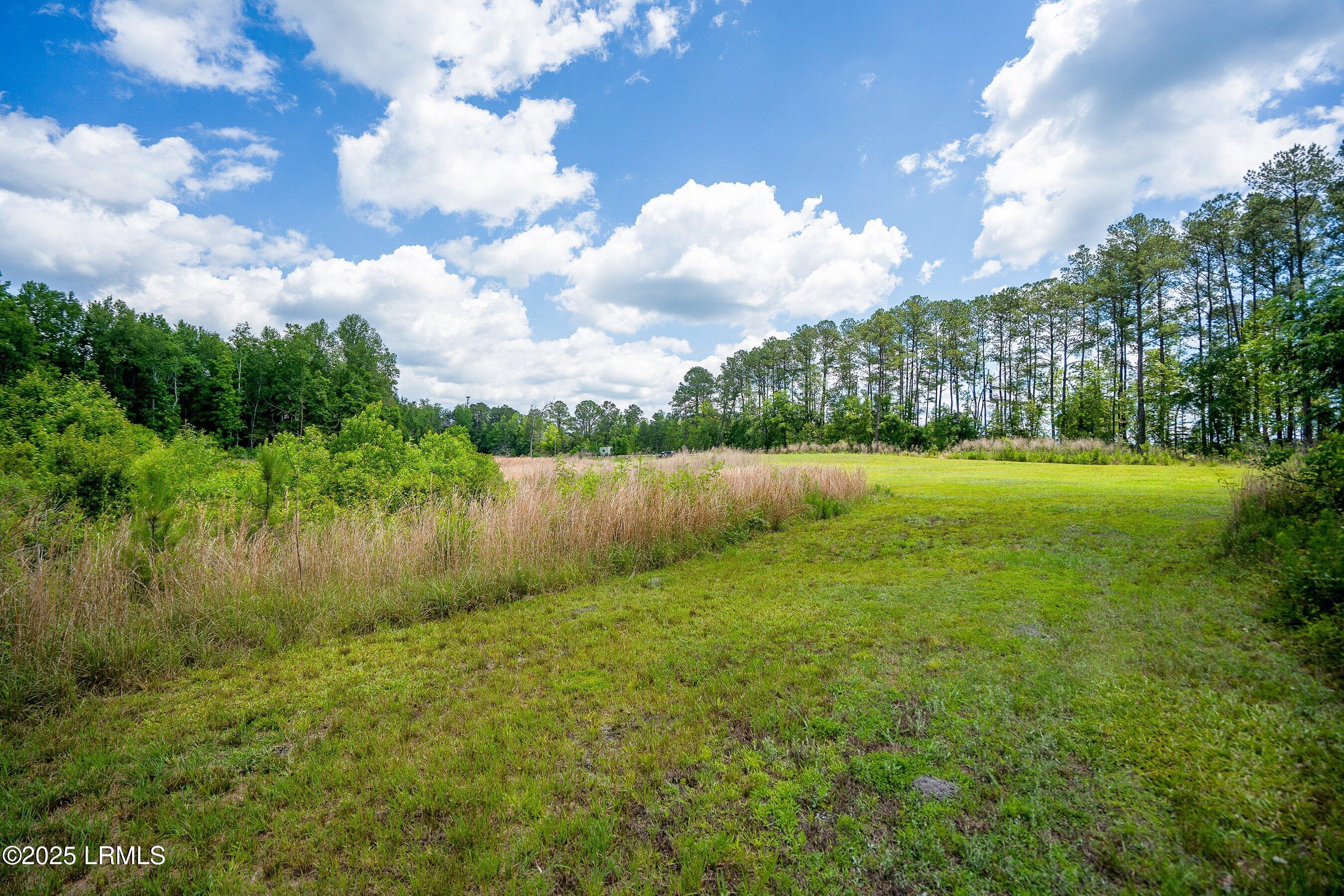 Walterboro, South Carolina 29488, United States, ,Land,Active,134430