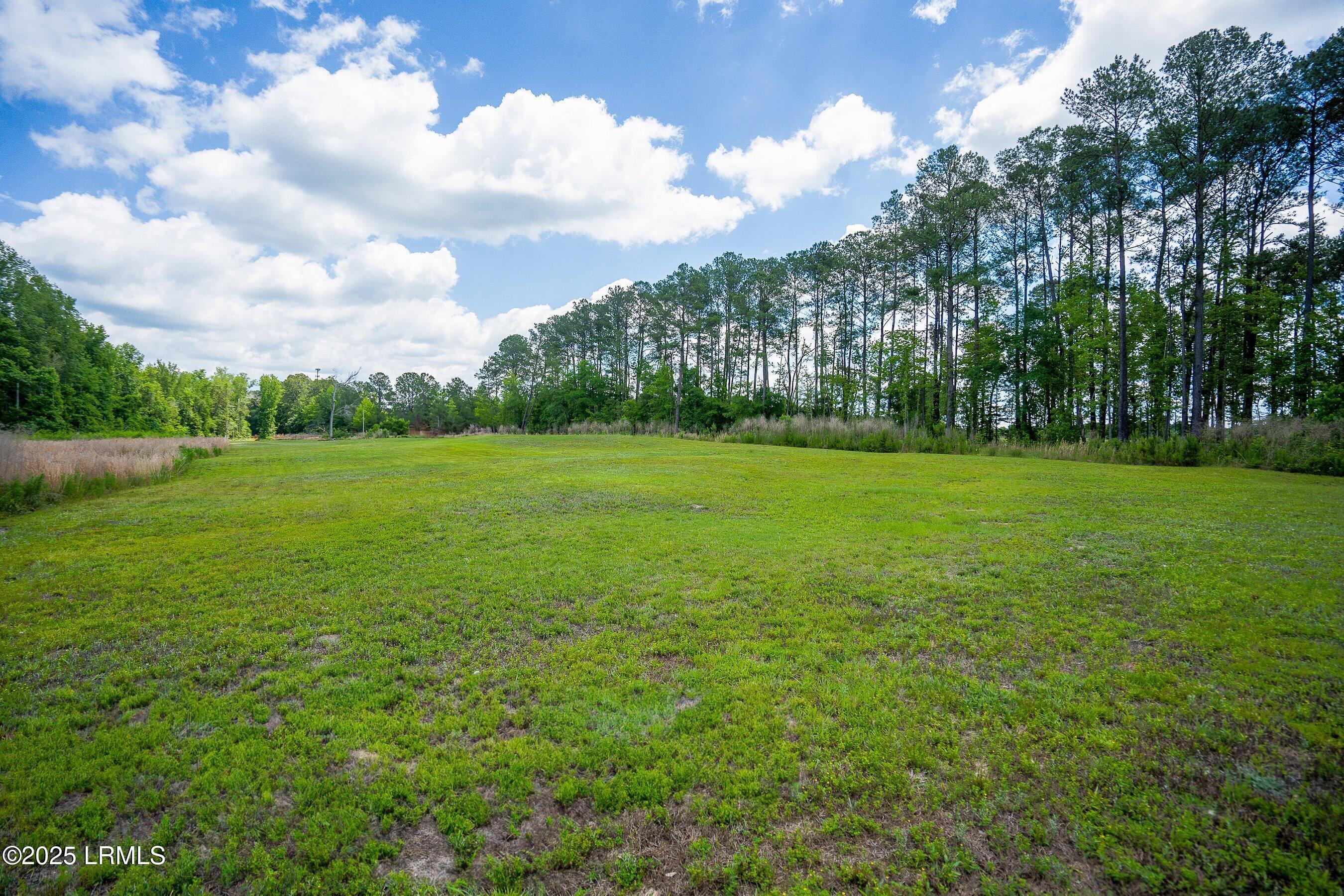 Walterboro, South Carolina 29488, United States, ,Land,Active,134430