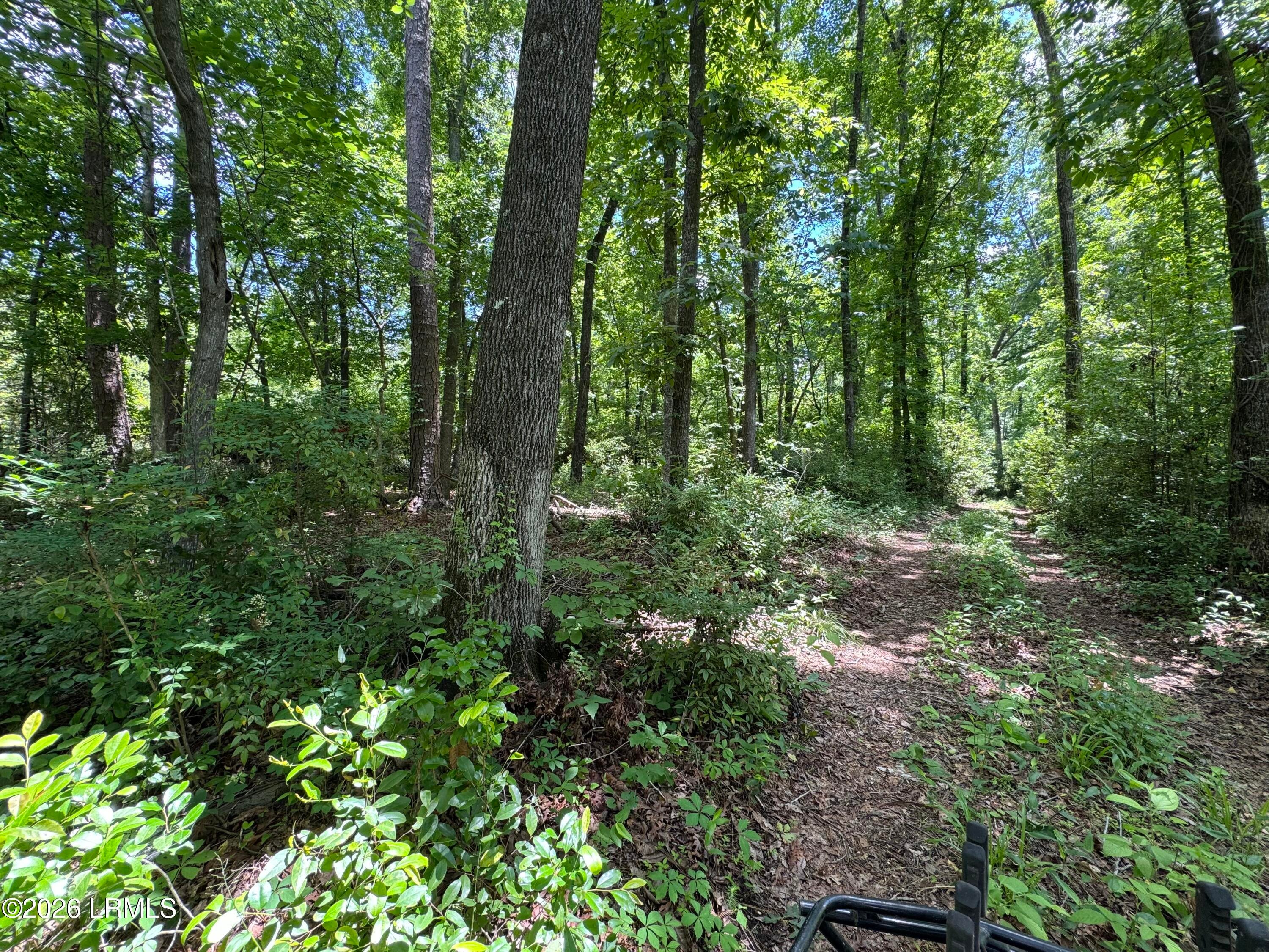 Tbd B Confederate Highway
