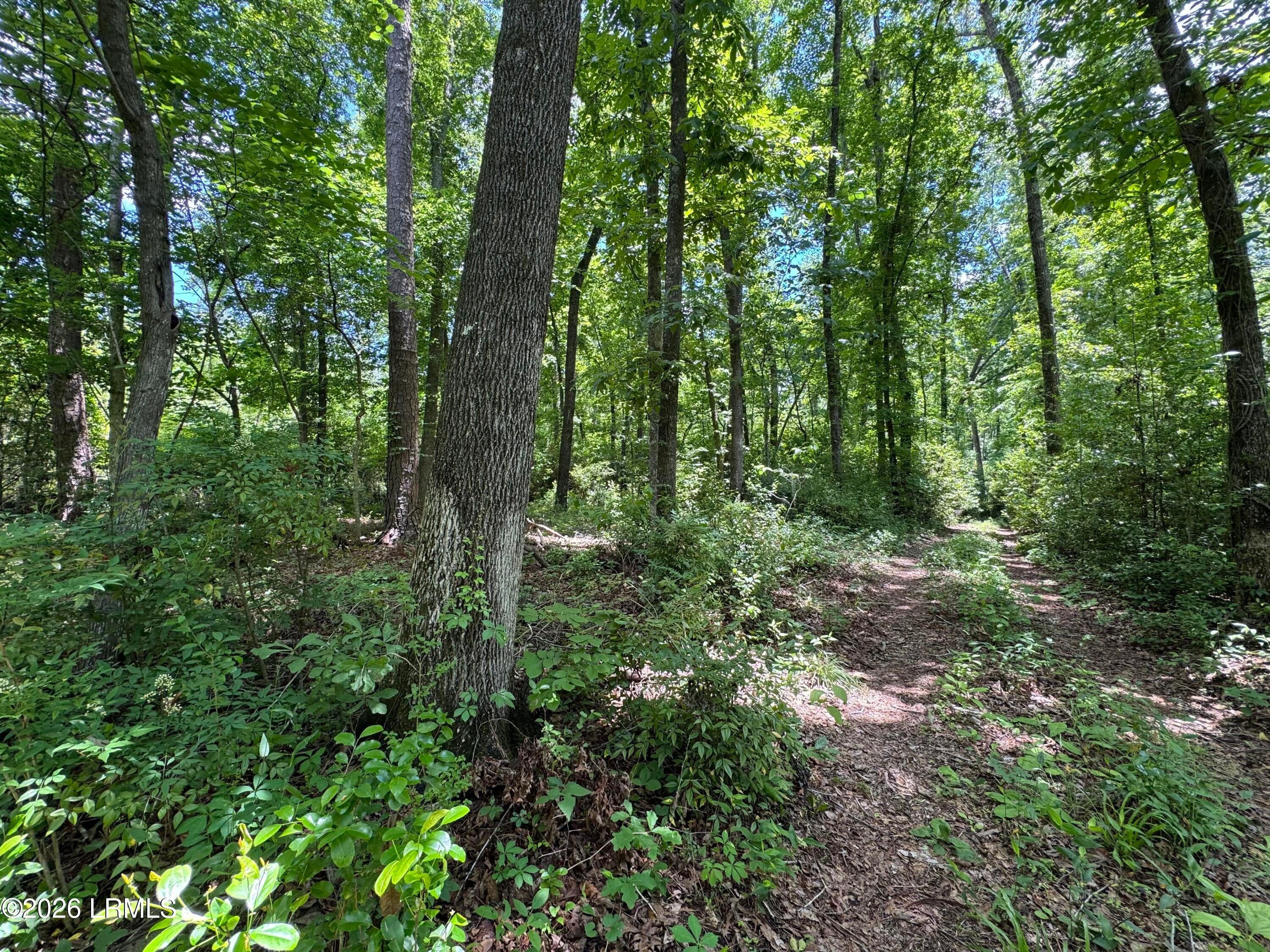 Tbd B Confederate Highway