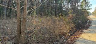 278 Sylvester Road