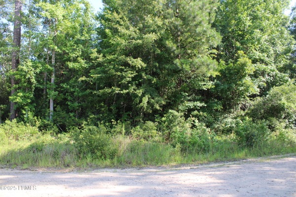 800 DOCTOR YOUNG RD, HAMPTON, SC 29924 - Image f7d2eeb61207f84bce323a9d42e73970/1056376743