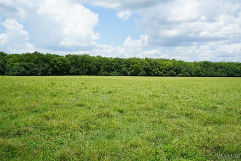Photo of 1105 Rittenour Road, Pike Road, AL 36064 (MLS # 578496)