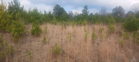Photo of 60 County Road 494, Verbena, AL 36091 (MLS # 582644)