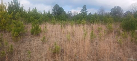 Photo of 60 County Road 494, Verbena, AL 36091 (MLS # 582644)