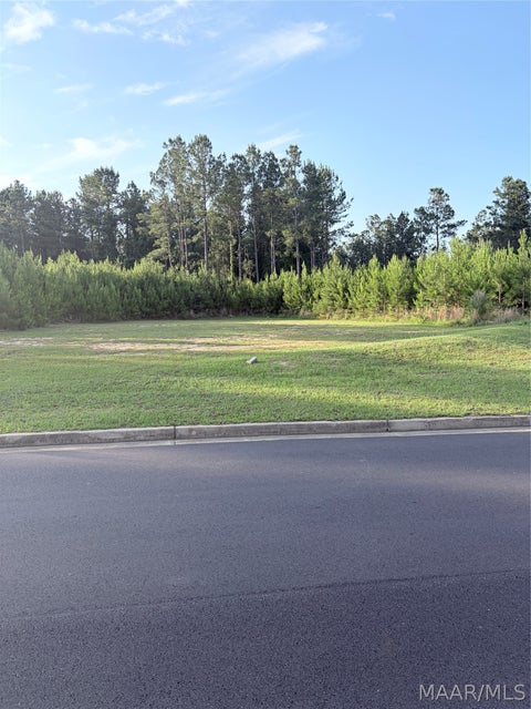 Photo of Wetumpka, AL 36093 (MLS # 588956)