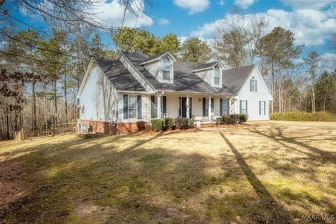 Photo of 1135 Double Bridge Ferry Road, Eclectic, AL 36024 (MLS # 583142)