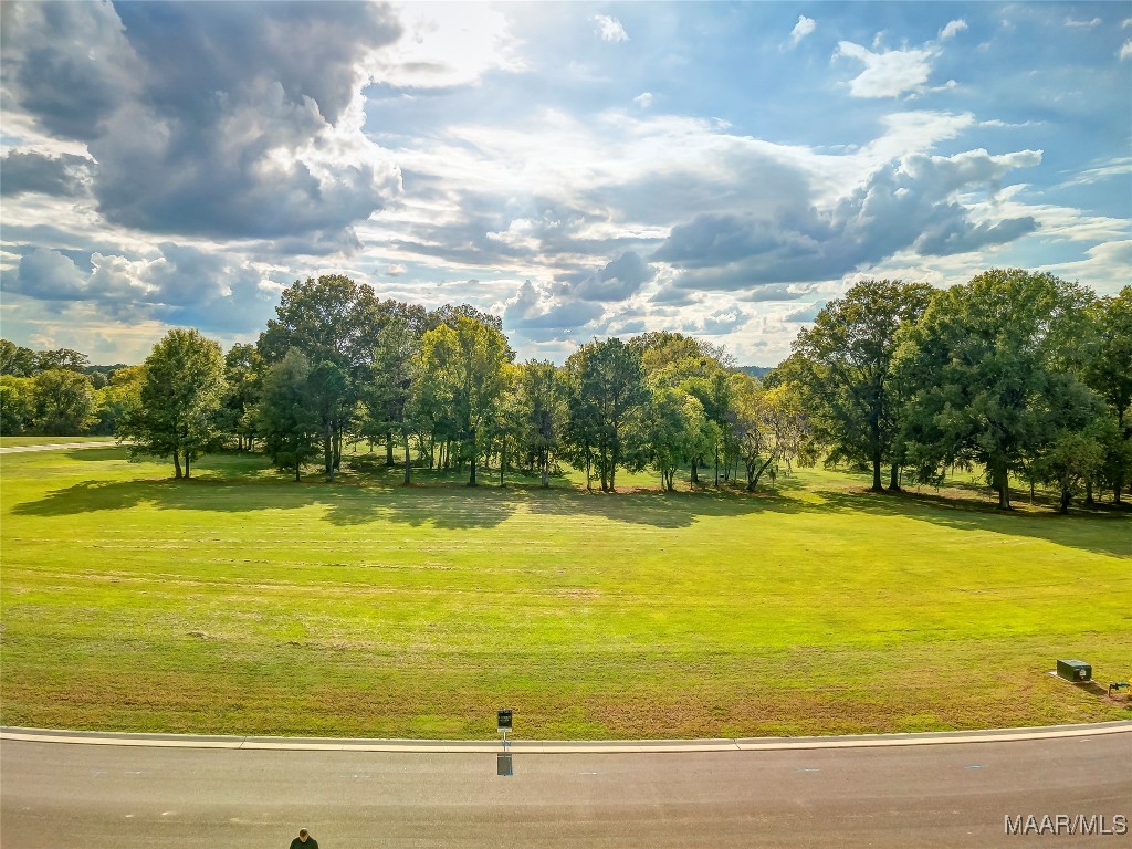 Photo 1 of 1 — Lot 37 Hidden Oaks Avenue, Pike Road, AL 36064