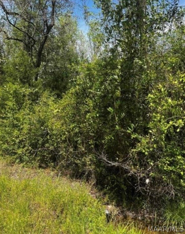 Photo 1 of 3 — 0 County Road 40 Route W, Prattville, AL 36067