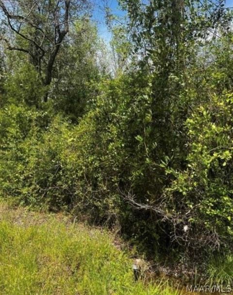 Photo of 0 County Road 40 Route W, Prattville, AL 36067 (MLS # 586786)