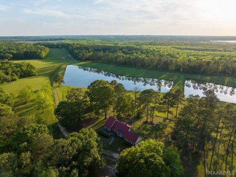 Photo of 0 Highway 239, Midway, AL 36016 (MLS # 586344)