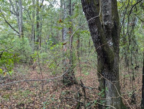 Photo of 0 ALPINE Drive, Deatsville, AL 36022 (MLS # 566586) Photo of 0 ALPINE Drive, Deatsville, AL 36022 (MLS # 566586)