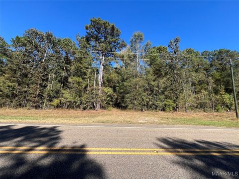 Photo of 1169 HWY 82 Road, Mathews, AL 36052 (MLS # 580837)