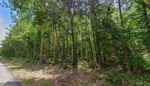 Photo of 21 Lee Road #140, Salem, AL 36874 (MLS # 577802)