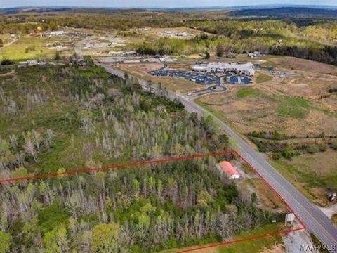 Photo of 2017 Lay Dam Road, Clanton, AL 35045 (MLS # 549957)