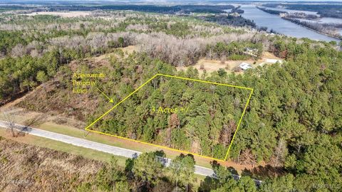 Photo of 29 Riverview Landing, Camden, AL 36726 (MLS # 582928)